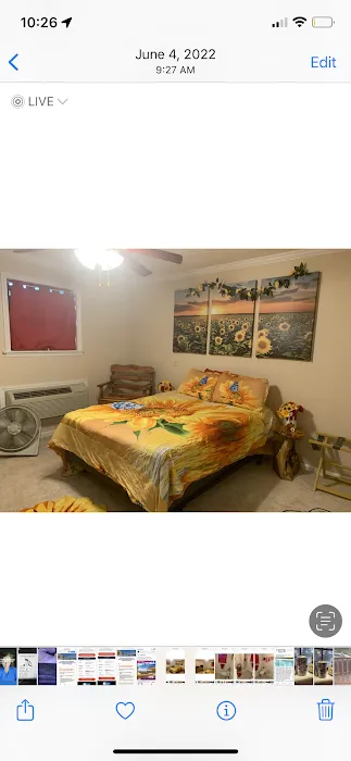 Camping At Dooley’s Empire in Paradise Camper Parking Rental And More Picture 9