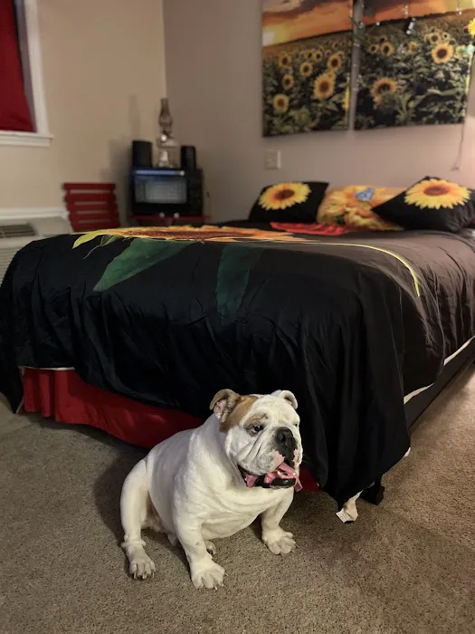 Camping At Dooley’s Empire in Paradise Camper Parking Rental And More Picture 10