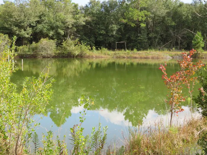 Twin Ponds RV Park and Campground Picture 1