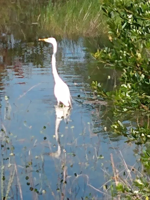 Twin Ponds RV Park and Campground Picture 6