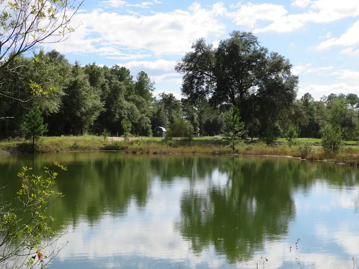 Twin Ponds RV Park and Campground Picture 4