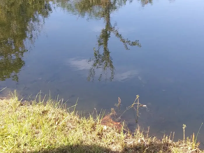 Mossy Oak Campground Picture 6