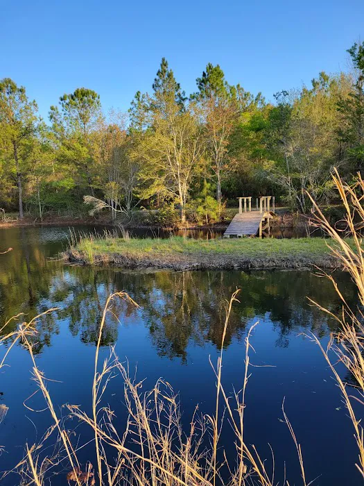 Mossy Oak Campground Picture 3