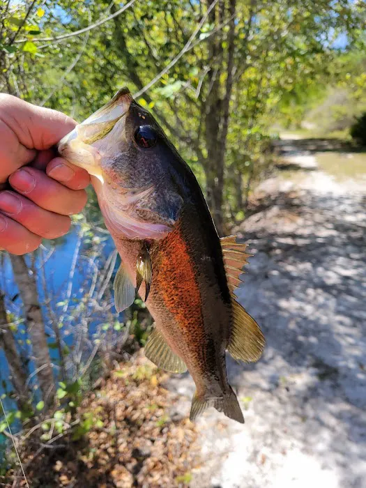 Mossy Oak Campground Picture 8