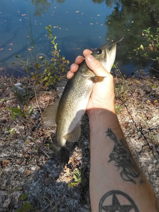 Mossy Oak Campground Picture 10