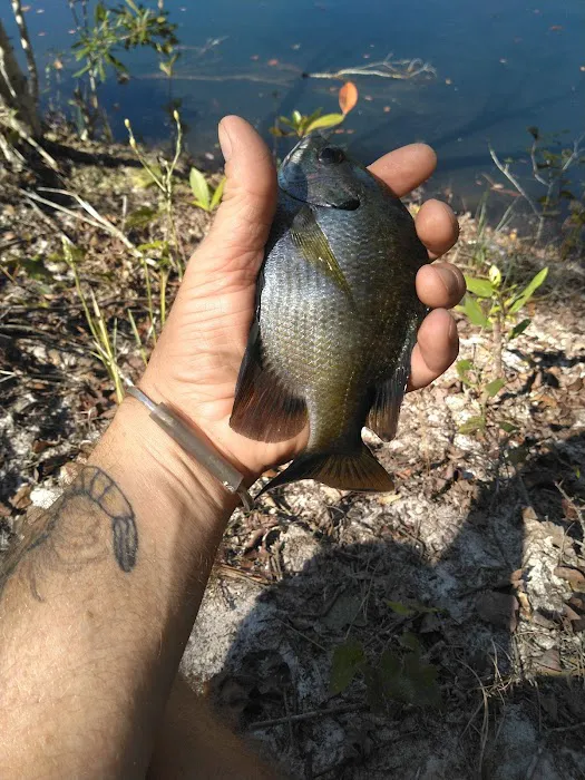 Mossy Oak Campground Picture 9