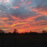 Beaver Creek RV Campground ico