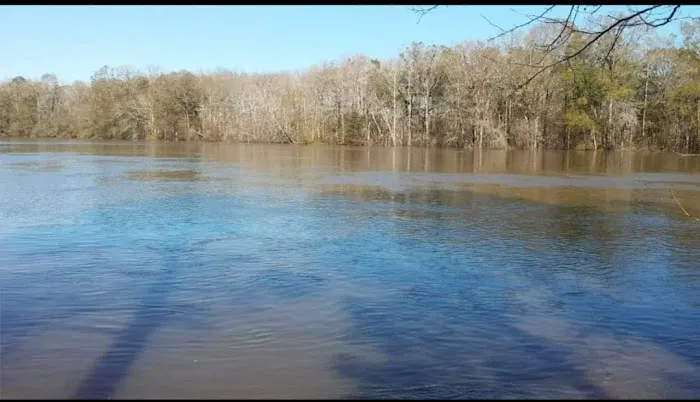 Camping Lot at Upper County Landing Picture 2