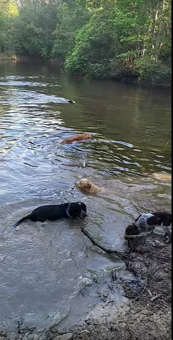 Camping Lot at Upper County Landing Picture 3