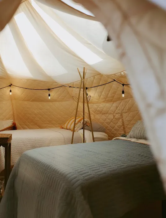 Mystic Woods Picture 4