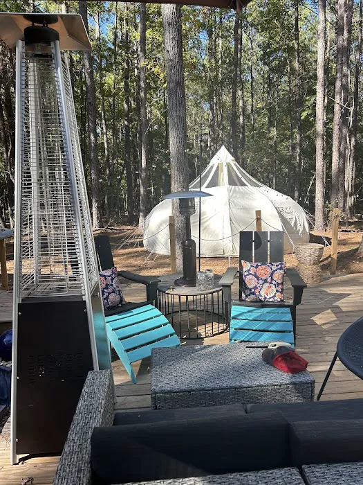 Mystic Woods Picture 6