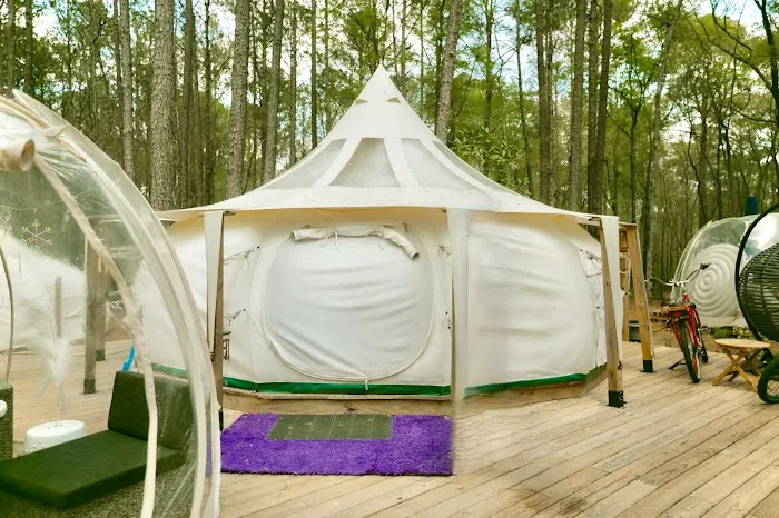 Mystic Woods Picture 1