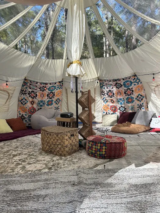 Mystic Woods Picture 9