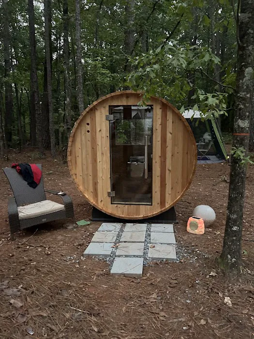 Mystic Woods Picture 10