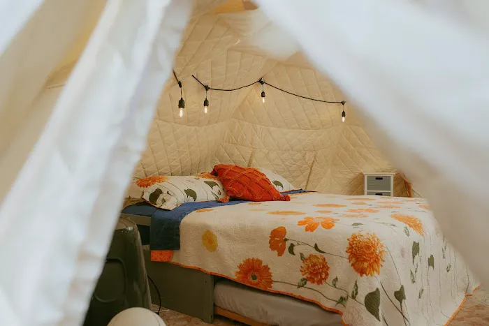 Mystic Woods Picture 7