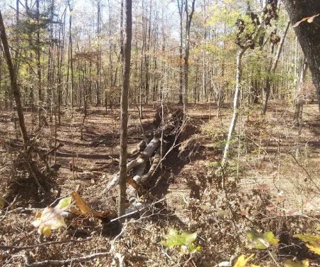 Big Oak Springs Campsite