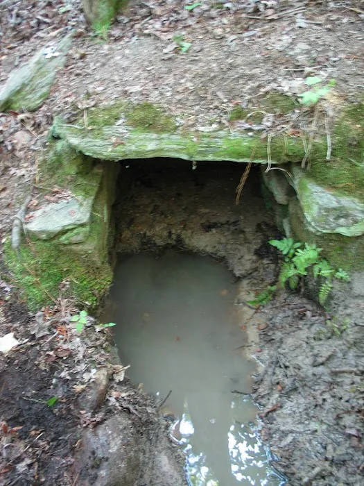 Big Oak Springs Campsite Picture 2