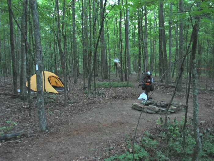 Big Oak Springs Campsite Picture 3