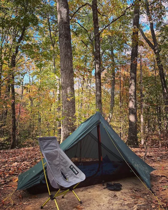 Jenkins Springs Campsite Picture 2