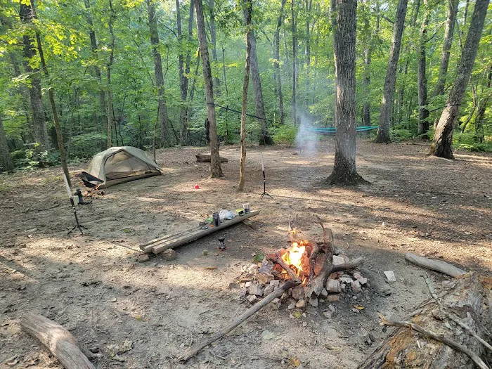Jenkins Springs Campsite Picture 6