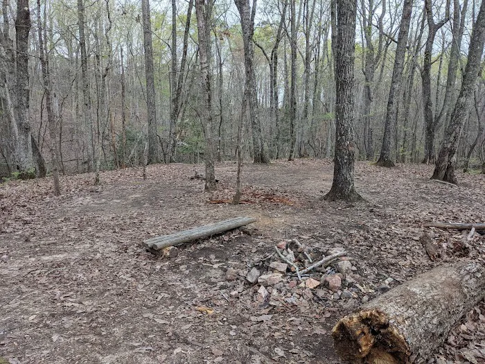 Jenkins Springs Campsite Picture 10