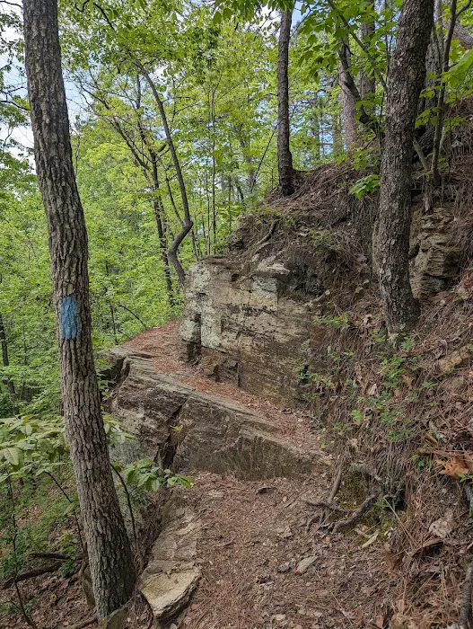 Jenkins Springs Campsite Picture 9
