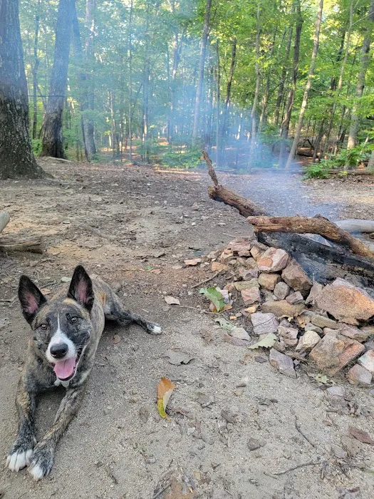 Jenkins Springs Campsite Picture 5