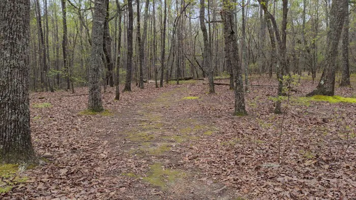 Big Knot Campsite Picture 2