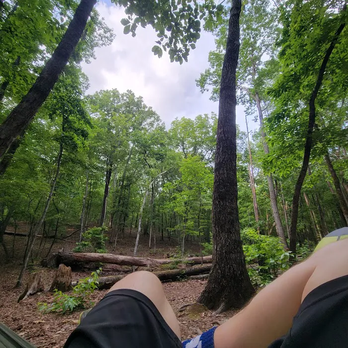 Turtle Hollow Campsite Picture 1