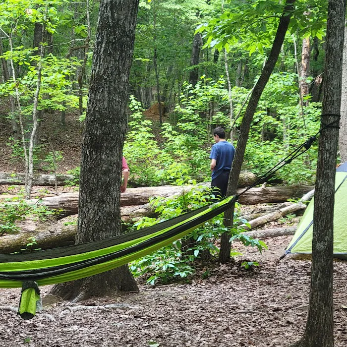 Turtle Hollow Campsite Picture 9