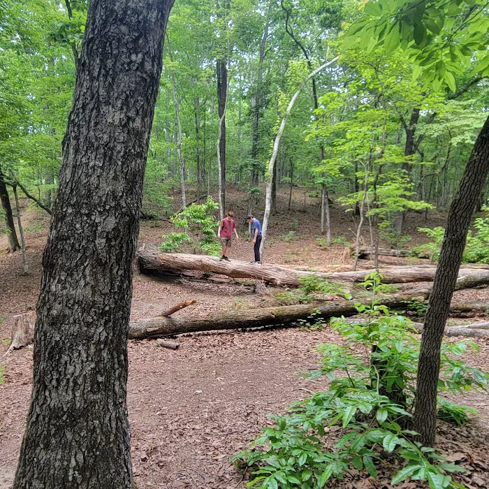 Turtle Hollow Campsite Picture 8