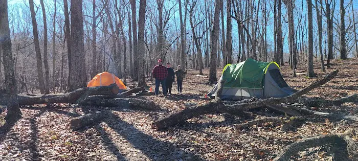 Turtle Hollow Campsite Picture 10