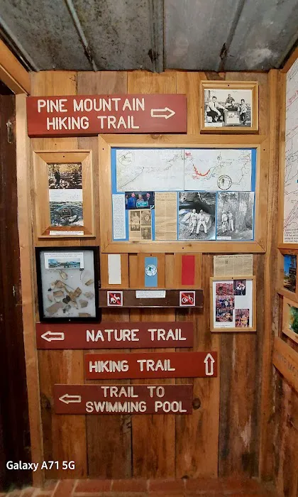 FDR State Park Pioneer Camping Picture 1