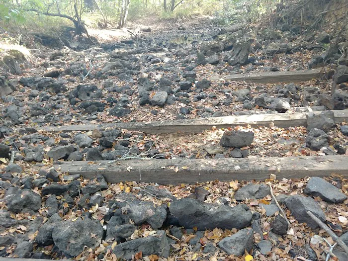 Dooly Campground Picture 6