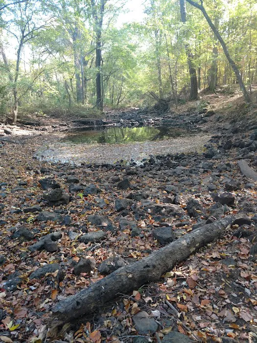 Dooly Campground Picture 3