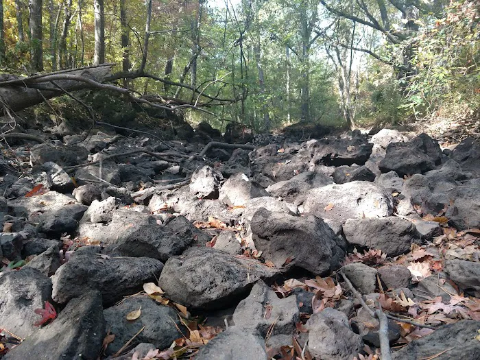 Dooly Campground Picture 5