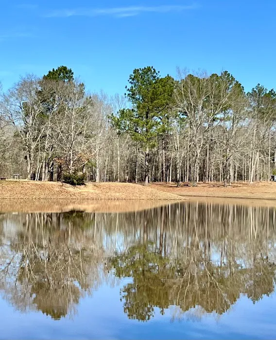Jellystone Park - Cochran, GA Picture 2