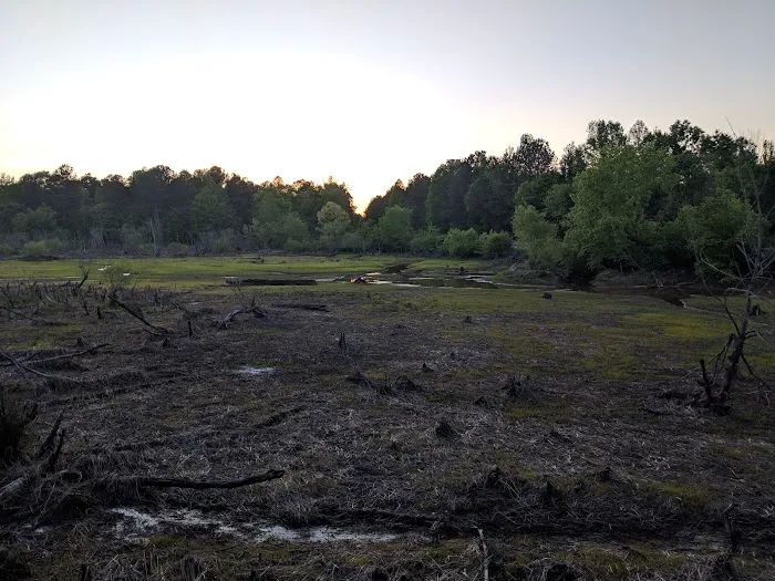Camp Comet Picture 2