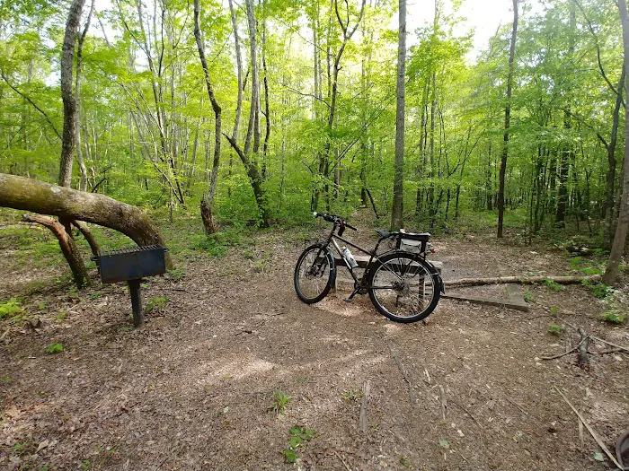Camp Comet Picture 4