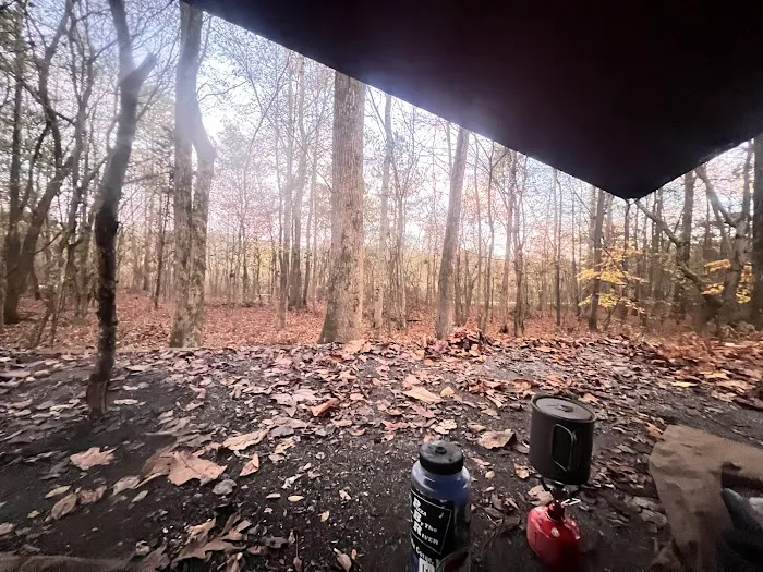 Camp Comet Picture 9