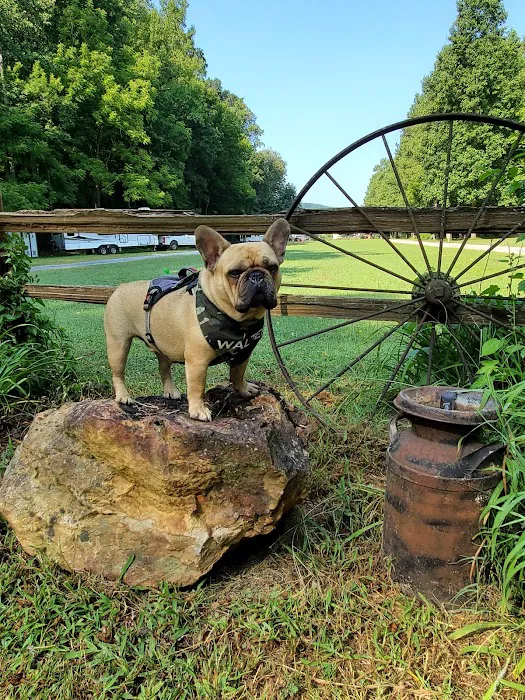 The Beautiful Rock Campground, RV, and Music Park Picture 8
