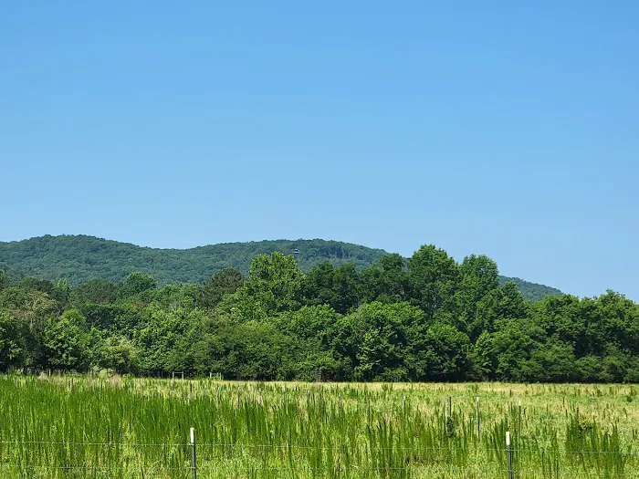 The Beautiful Rock Campground, RV, and Music Park Picture 6