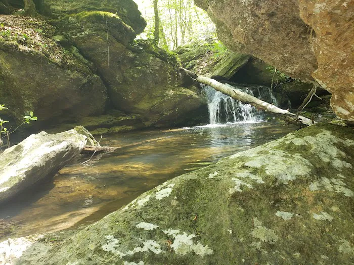 The Beautiful Rock Campground, RV, and Music Park Picture 5