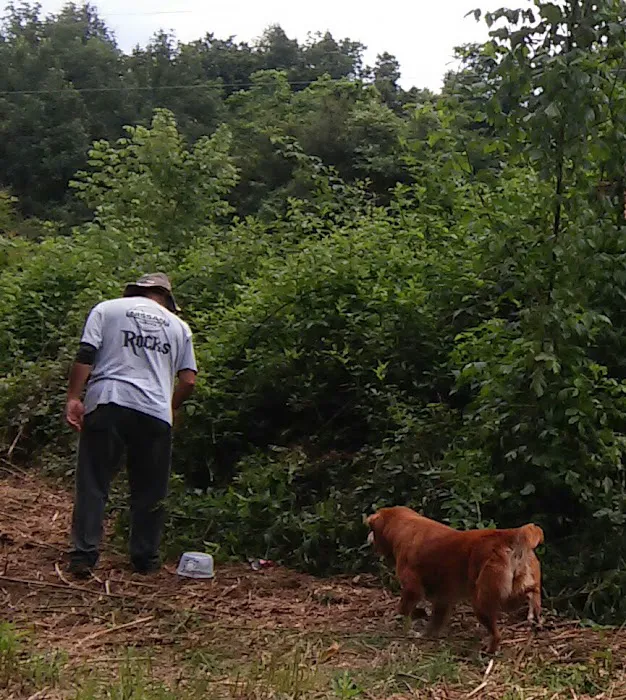 Cane Creek RV Park Picture 1