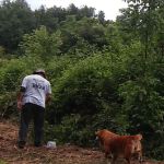 Cane Creek RV Park
