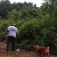 Cane Creek RV Park ico