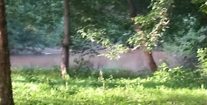 Cane Creek RV Park Picture 8