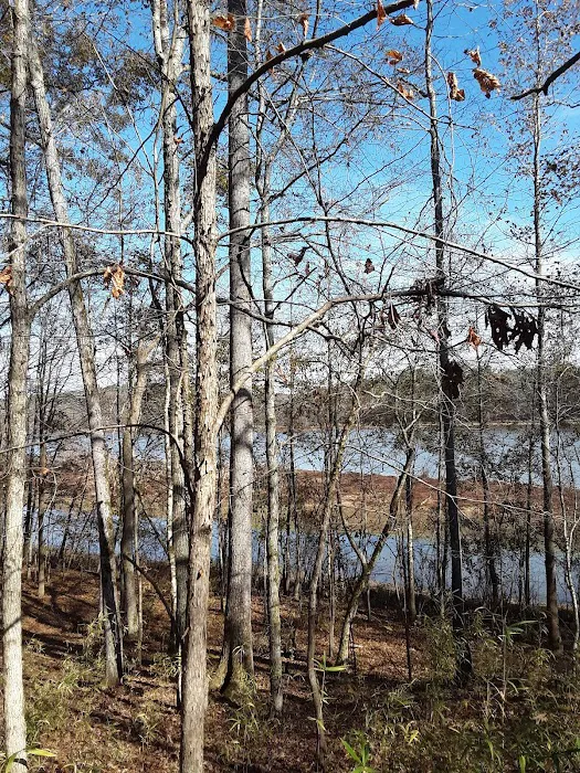 Brush Creek Park Picture 2