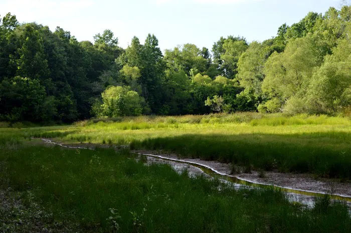 Brush Creek Park Picture 8