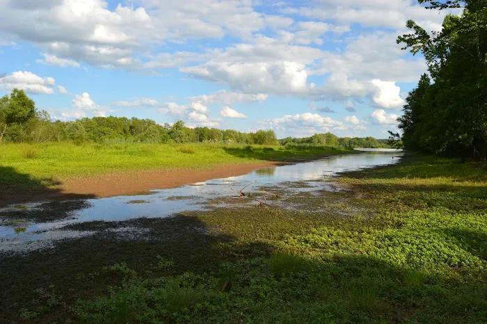 Brush Creek Park Picture 9